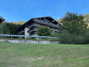 2 comfortable studios of 2-4 persons each in Chatel center